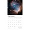 Hubble Space Telescope | 2026 12 x 24 Inch (Hanging) Monthly Square Wall Calendar | Foil Stamped Cover | Plastic-Free | BrownTrout | Science Astronomy Technology